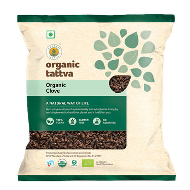 https://cdn.shopify.com/s/files/1/1857/6931/products/LVpjGgnKV5.jpg?v=1759314853